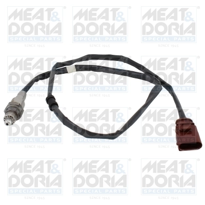 Oxygen Sensor